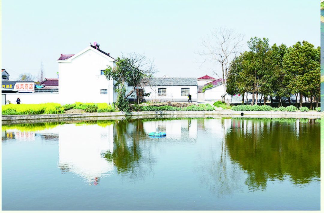 共富路上村村行丨林梅村三大产业求全求新为民服务又快又好