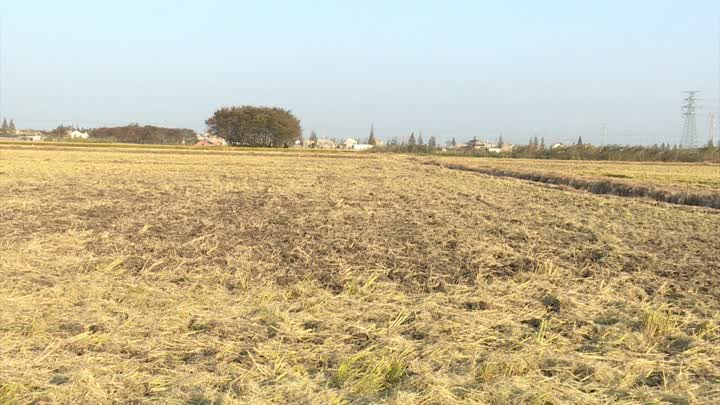 田野2.png