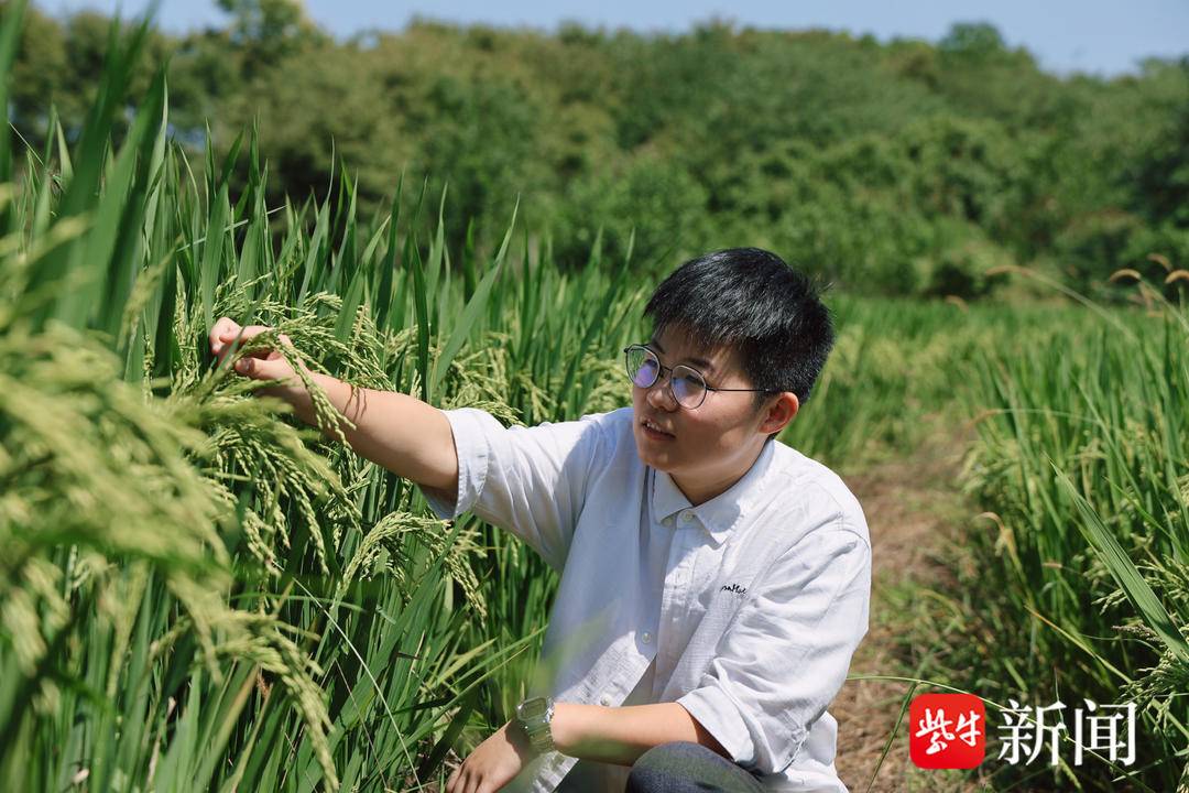 句容拓科俞春林进去了图片